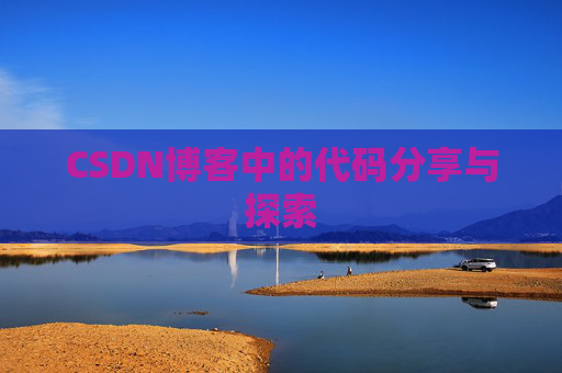 CSDN博客中的代码分享与探索